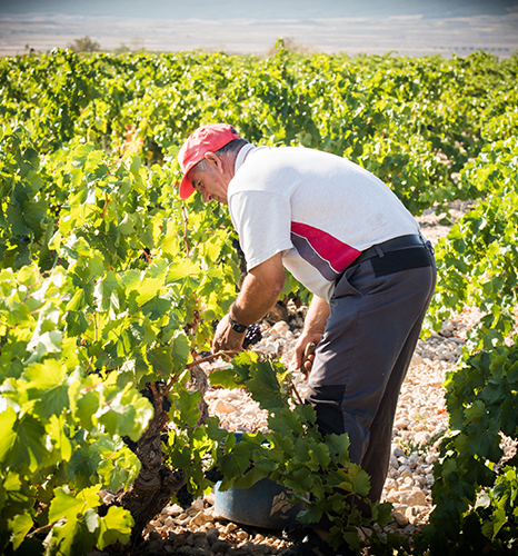 Bodegas Valssira